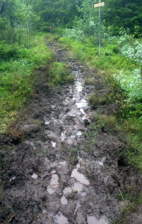 Mer lera! Ser ju nästan ut som om man kan springa ute i kanterna, det kunde man alltså inte!